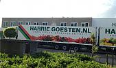 harrie goesten bessen